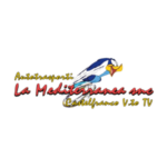 LA MEDITERRANEA SNC DI GALLINA C. & C