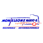 MONTELEONE GROUP S.R.L.